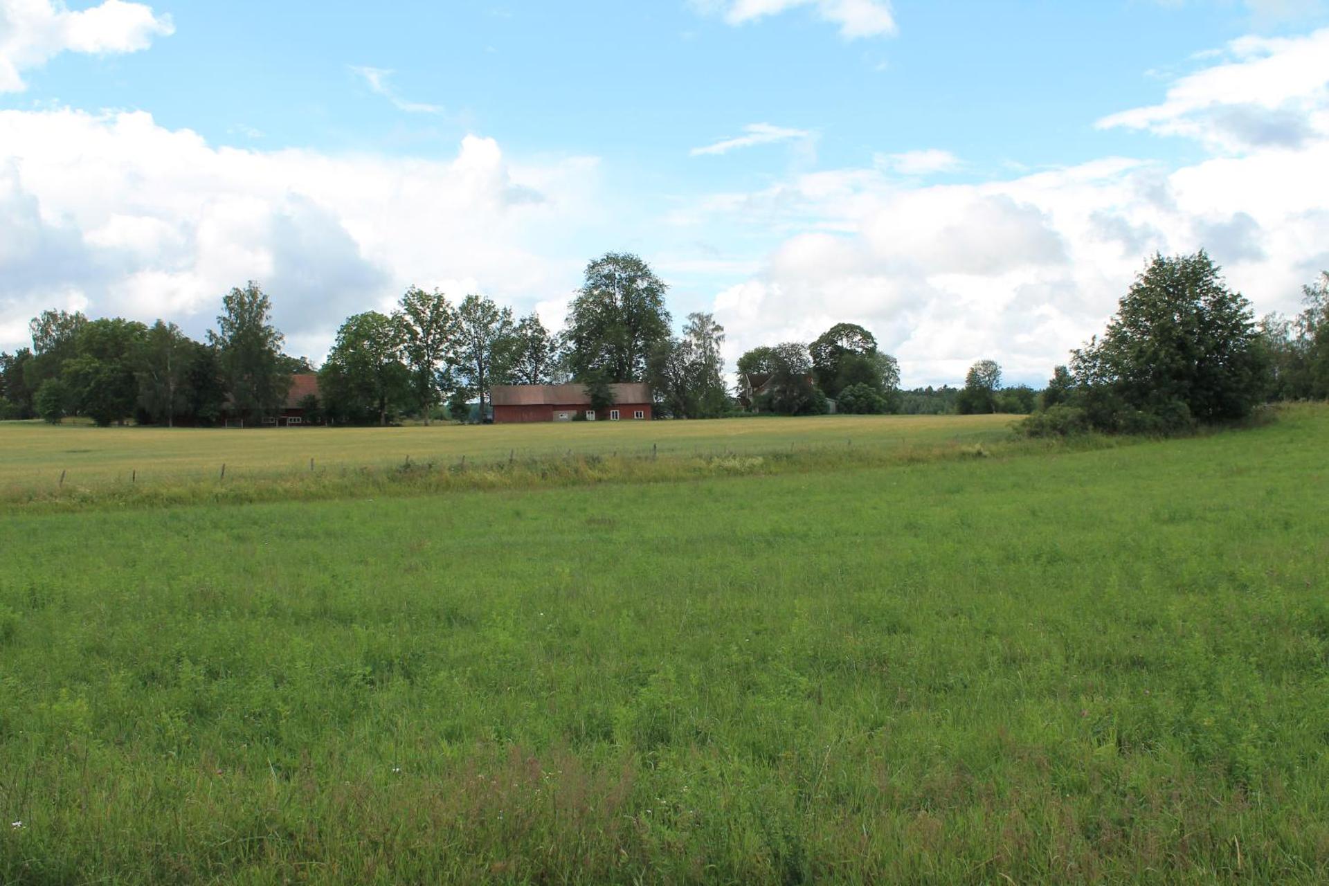 Drängstugan i Humla