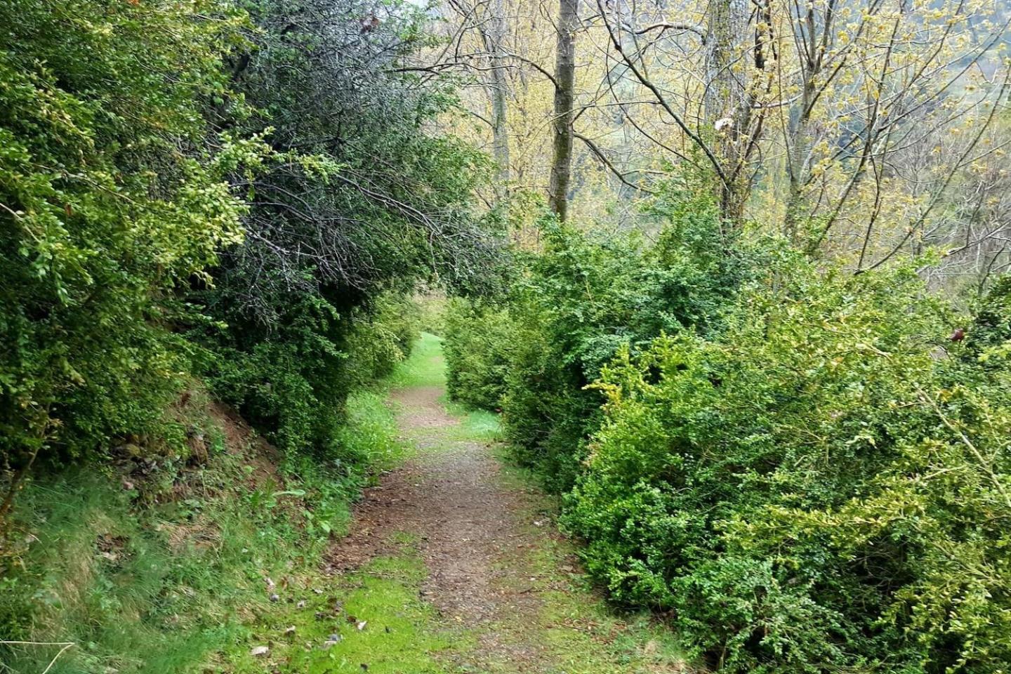 Les Forques de'n Pep