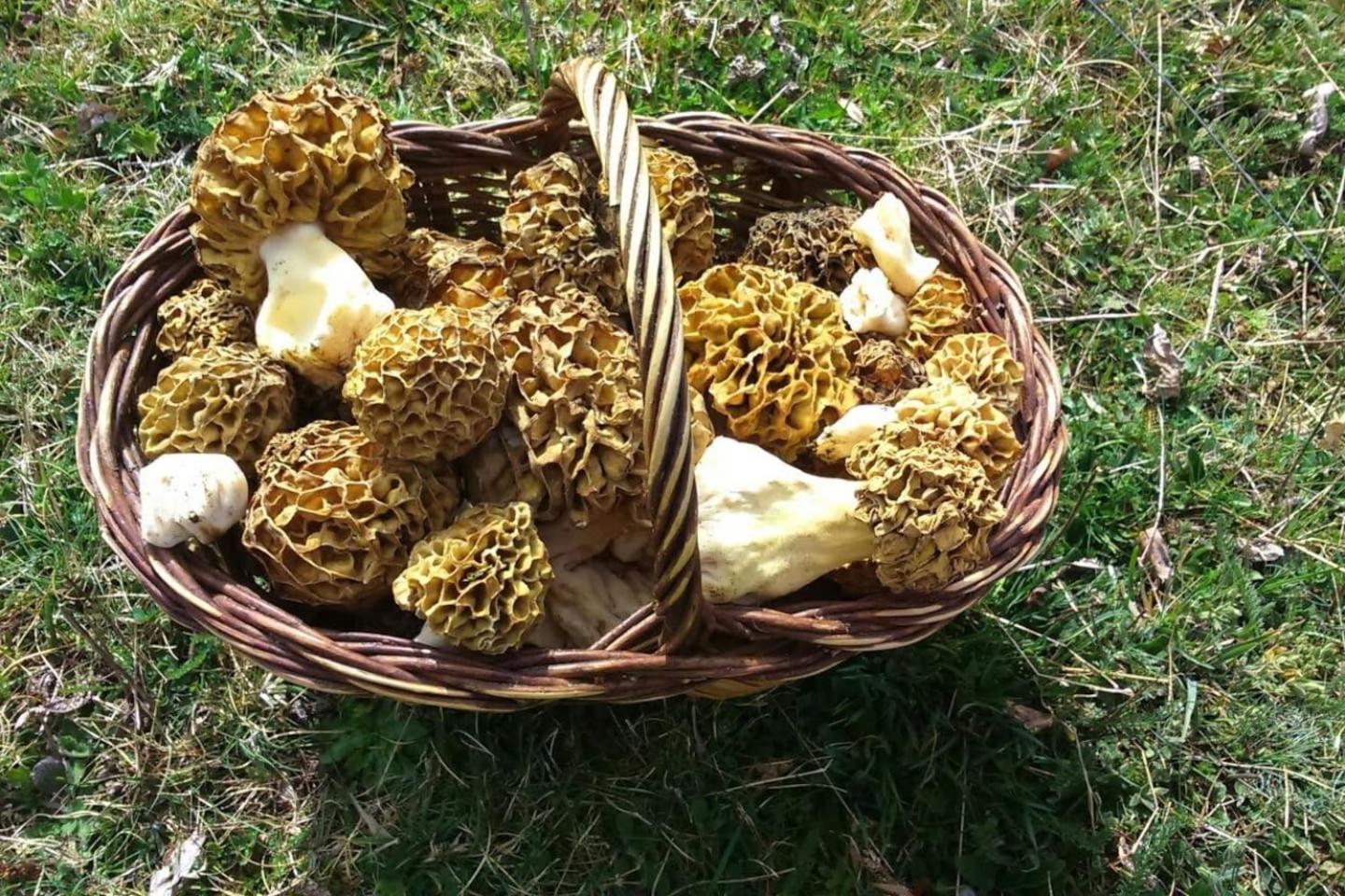 Les Forques de'n Pep