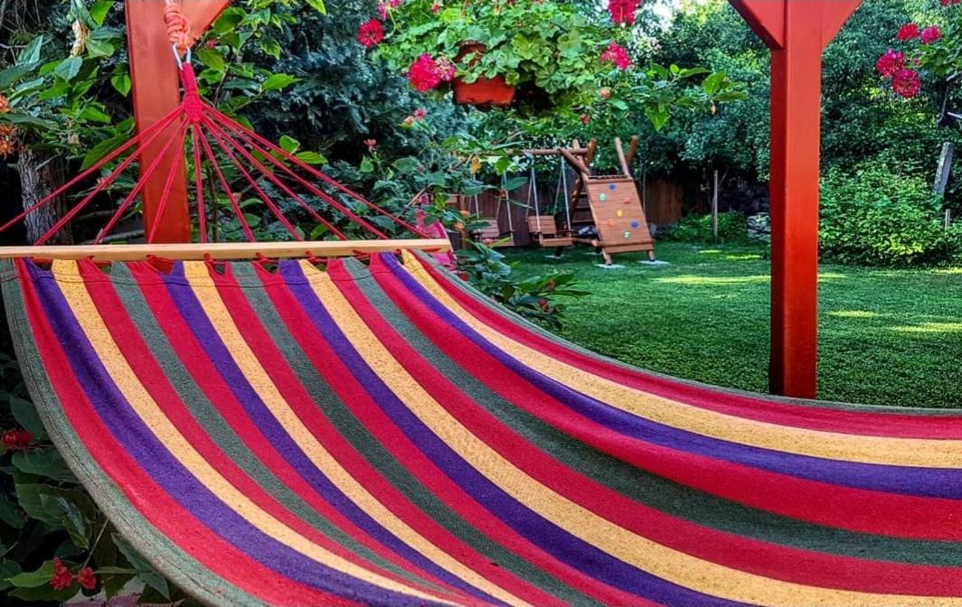 Children play ground