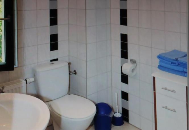 Apartment - Haus Helene