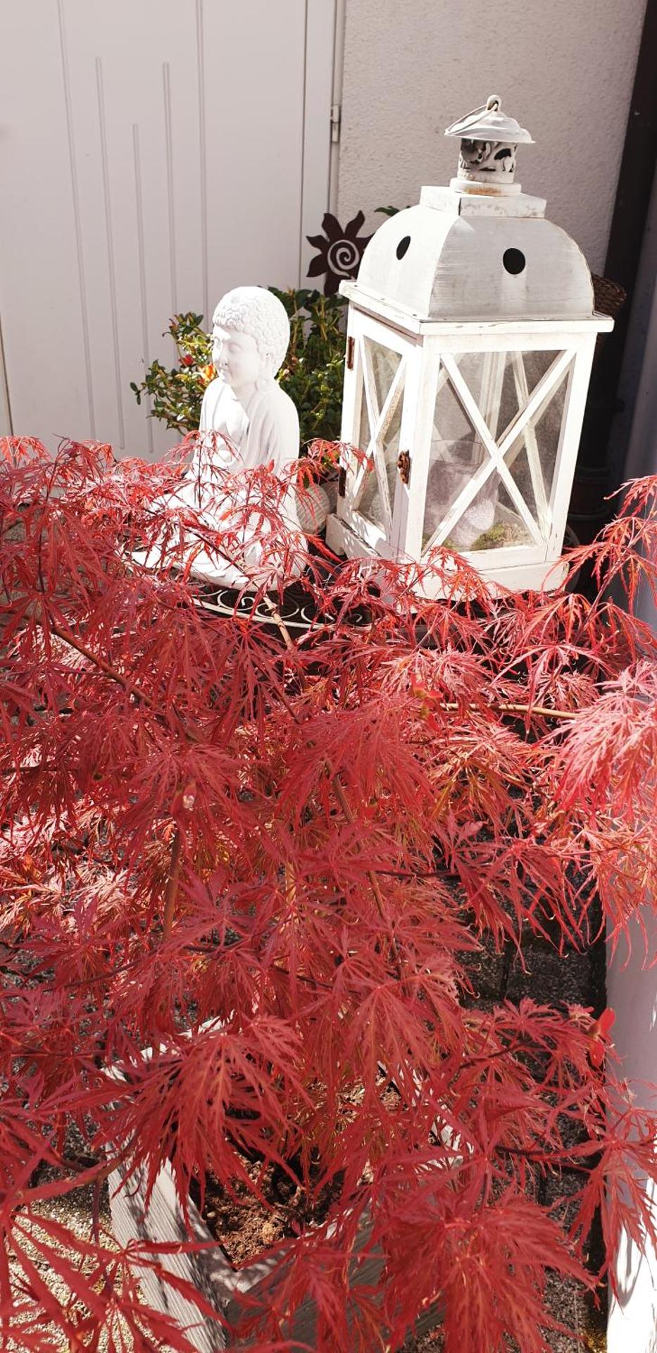 Hotel 'Zum Augarten'