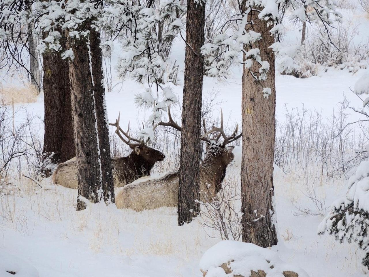 Riversong Inn Retreat