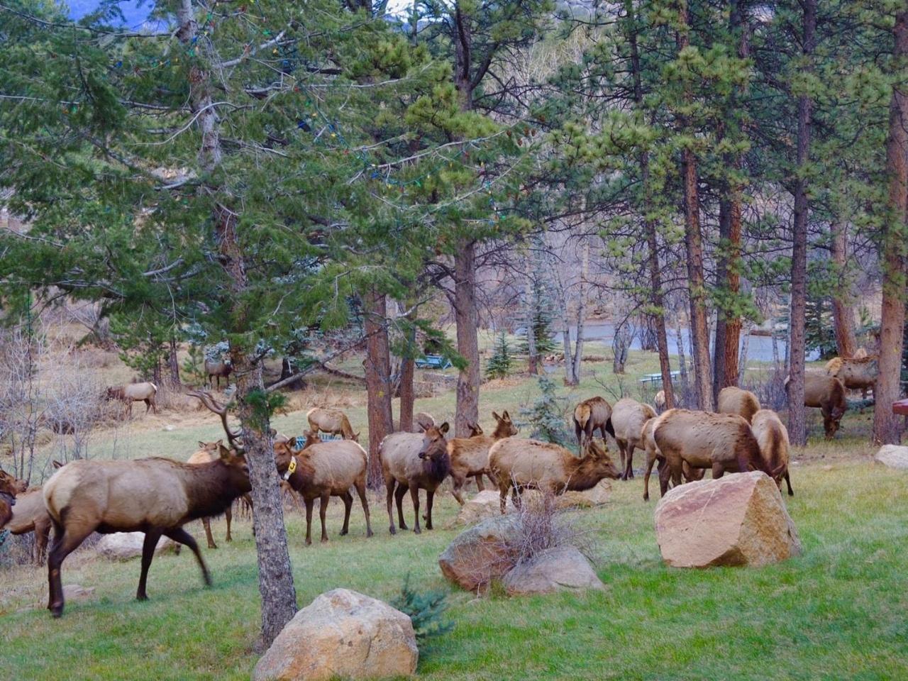 Riversong Inn Retreat