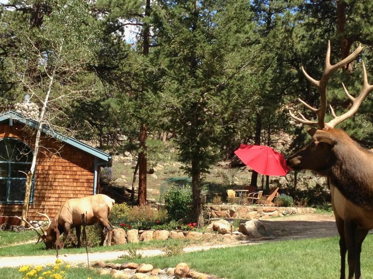 Riversong Inn Retreat