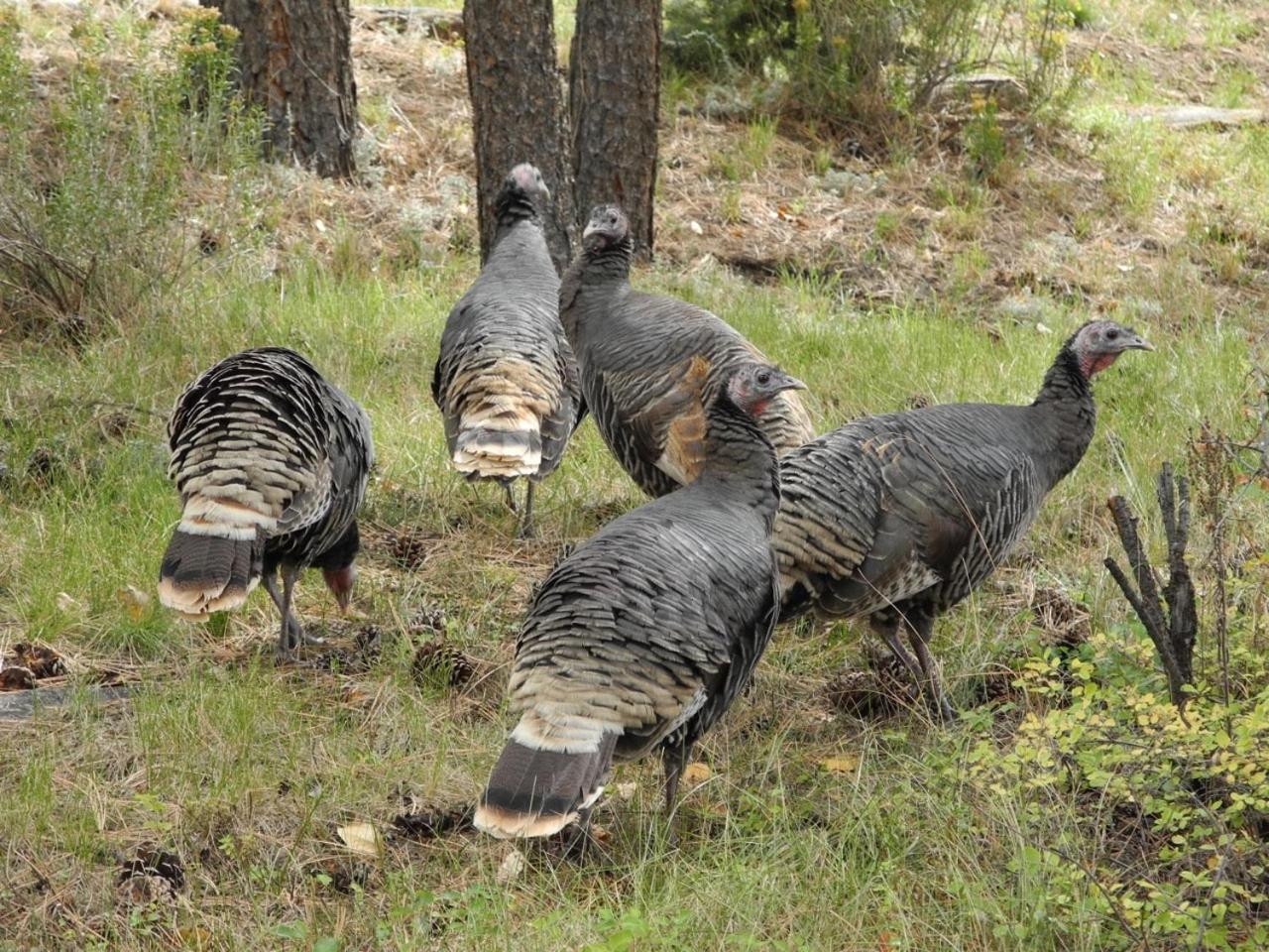 Riversong Inn Retreat