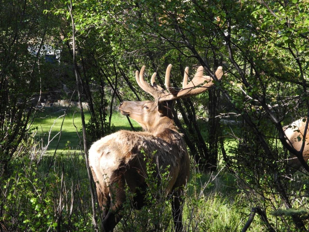 Riversong Inn Retreat