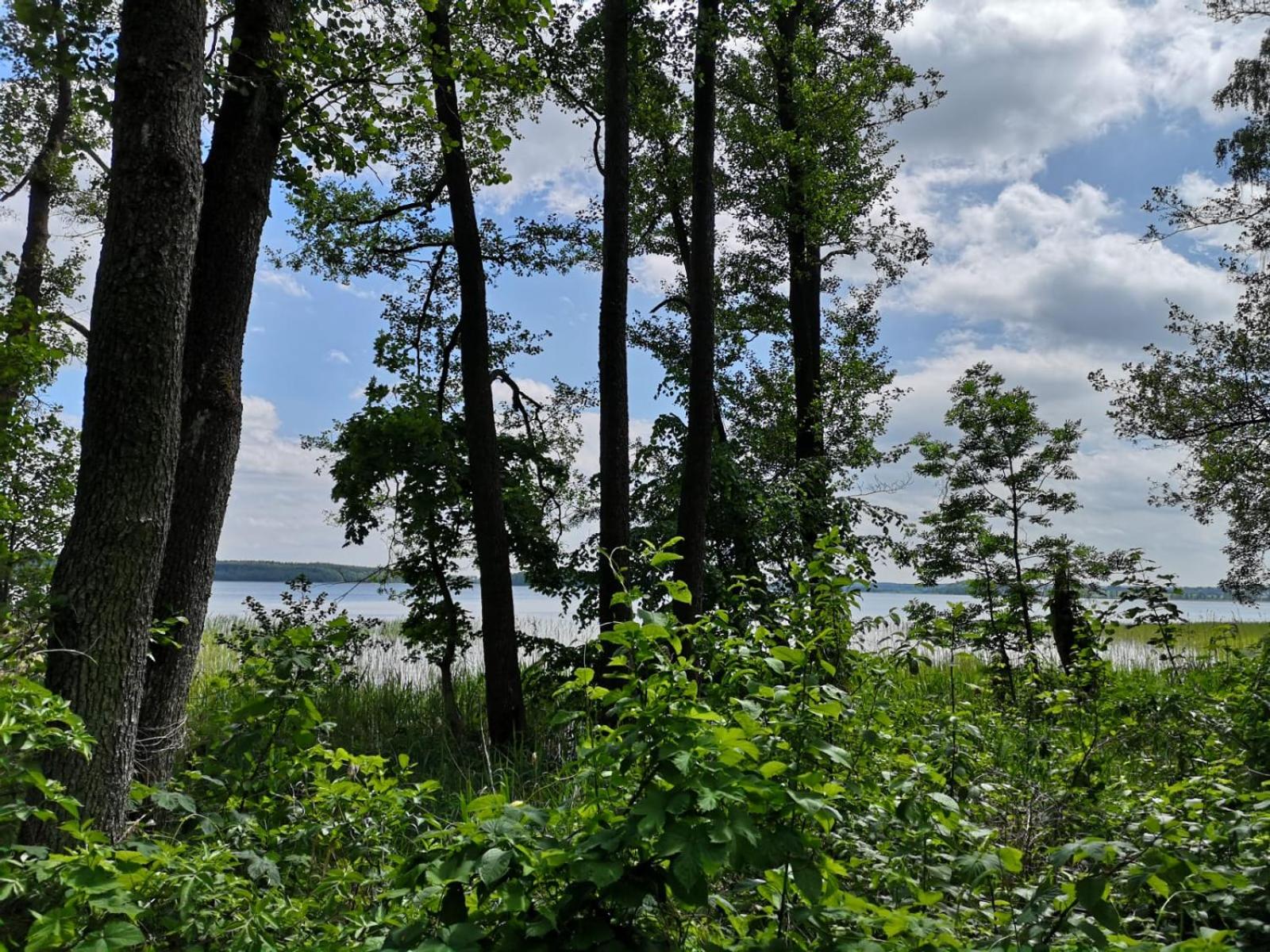 Grzybowo Dom wakacyjny