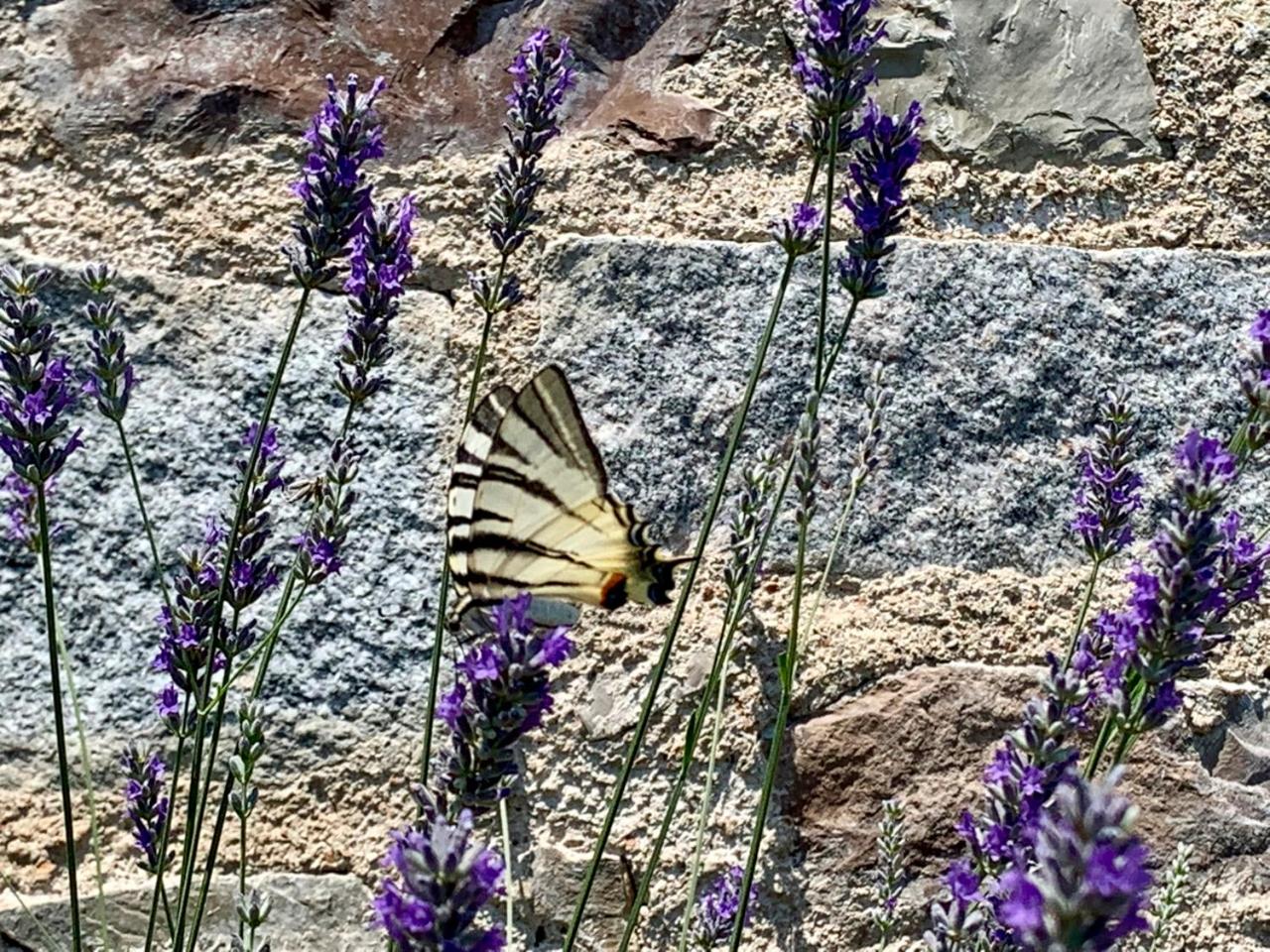 Borgo Al Tempo Perduto