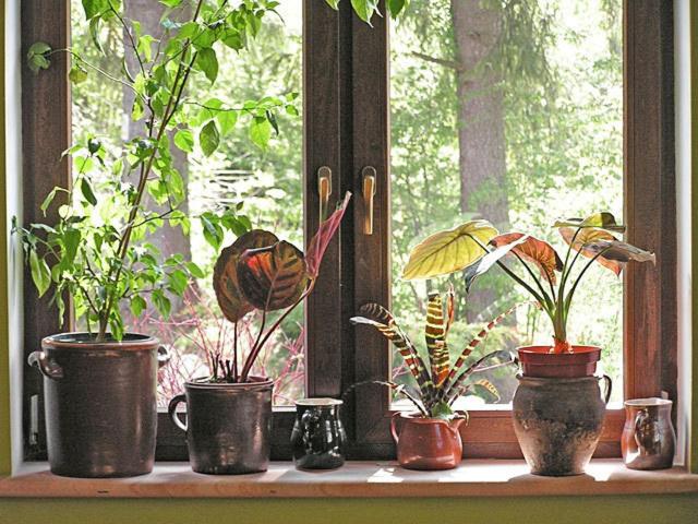 Willa Pod Dobrym Humorem