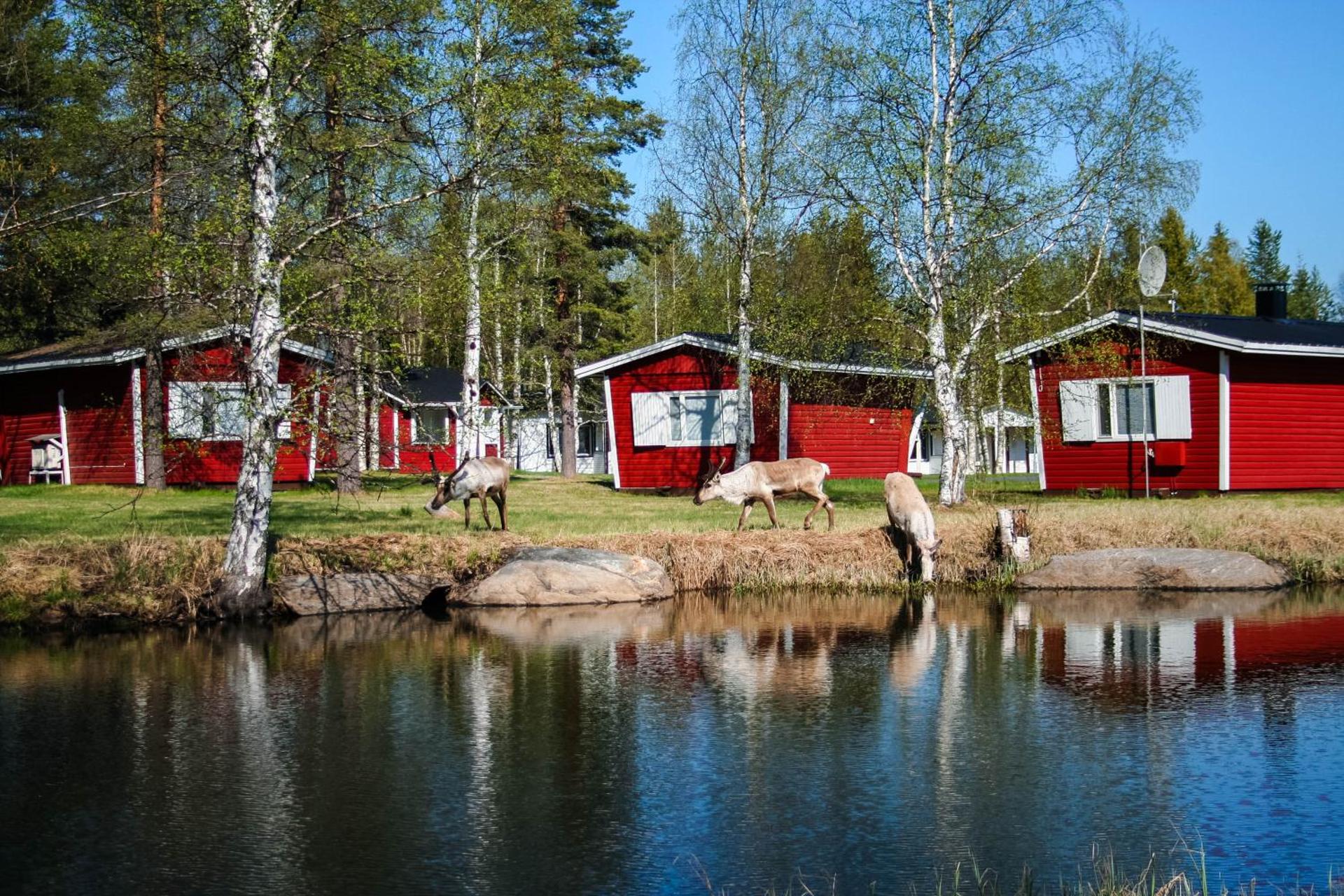 Logo/Certificate/Sign