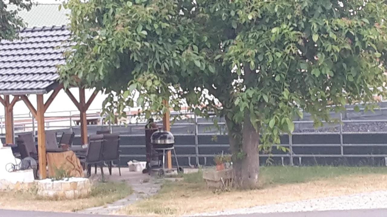 Galloway Hof Wantewitz