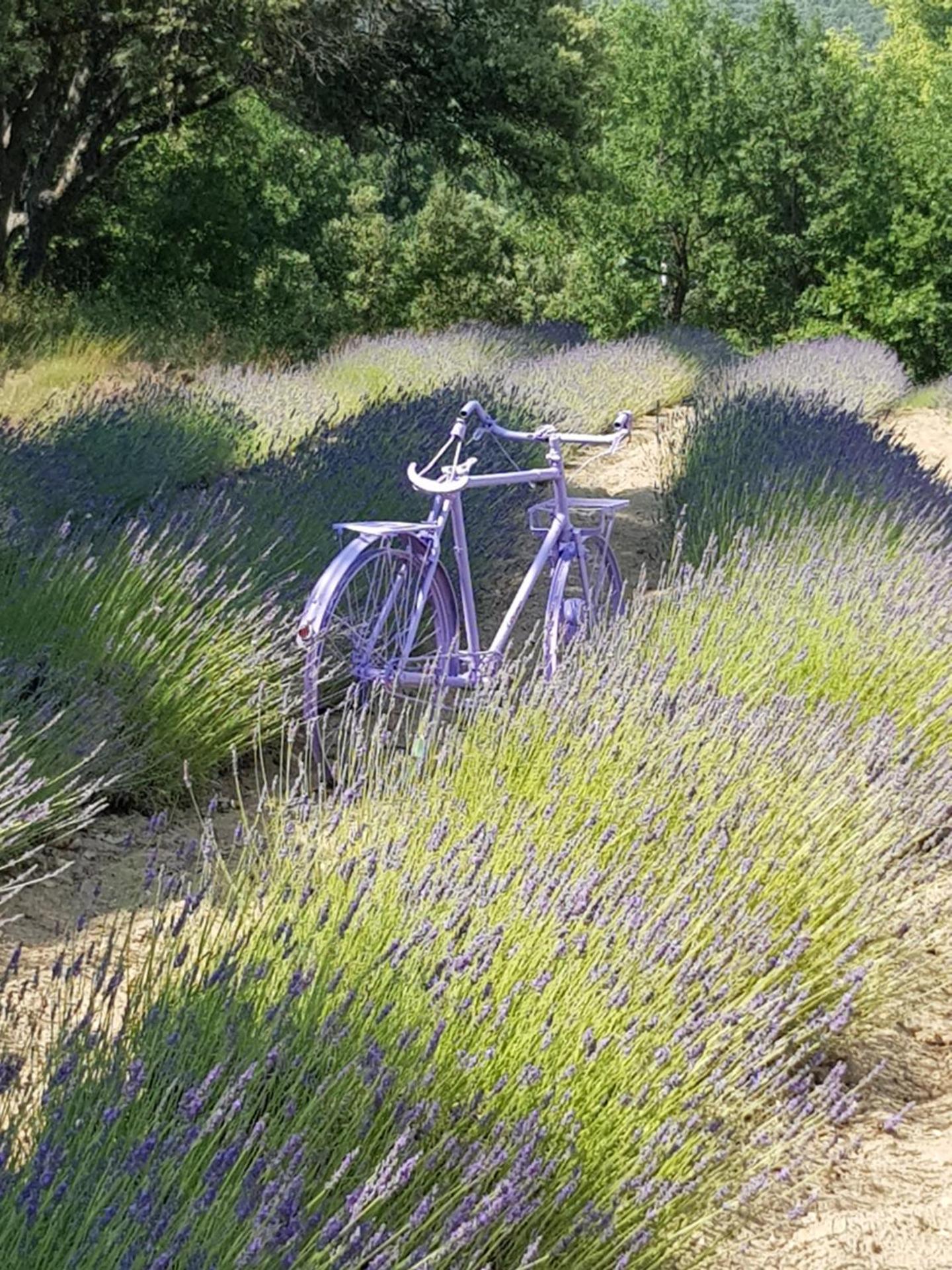 Les Néfliers chambre d'hôtes
