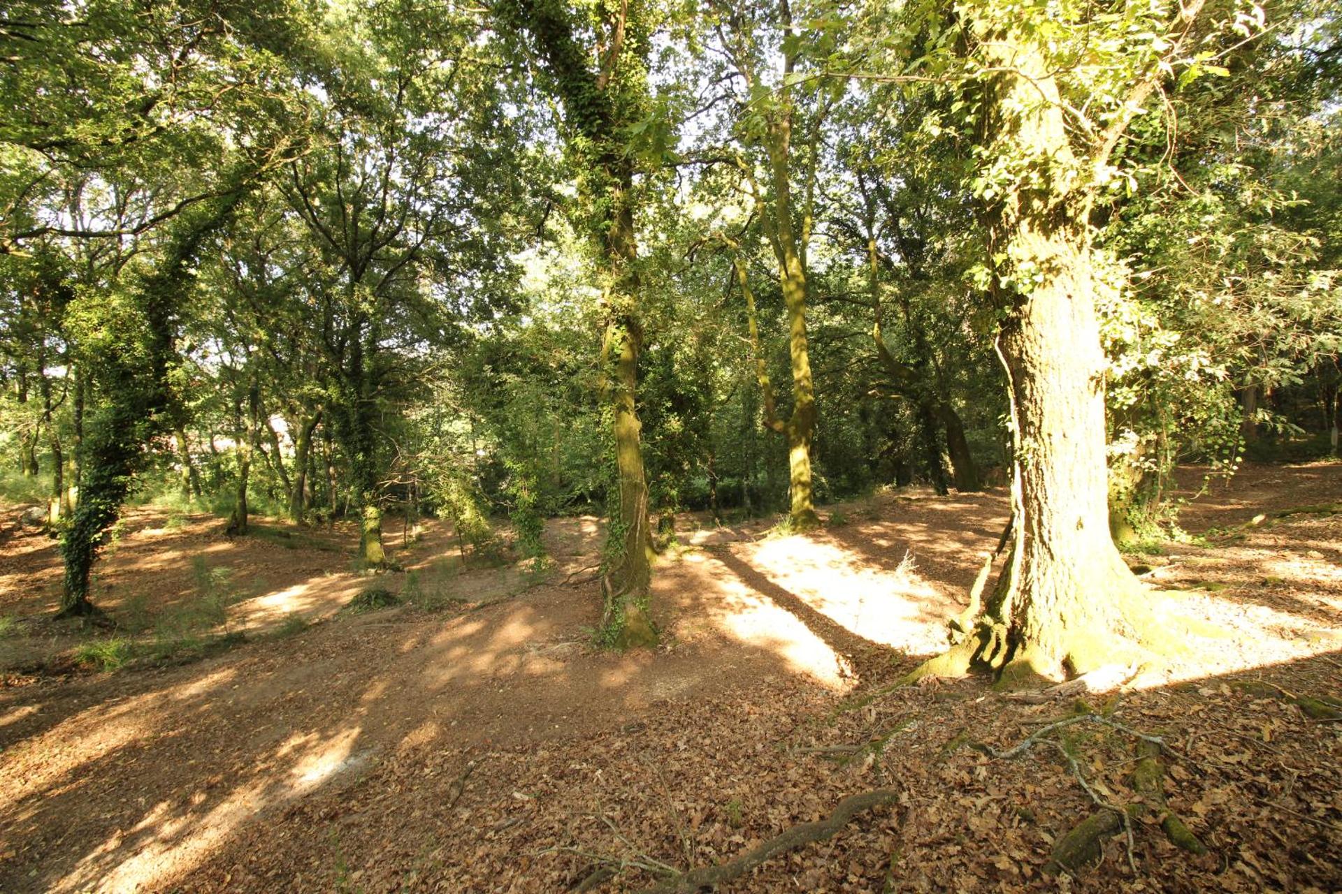 Quinta d'Areda Wine&Pool Experience