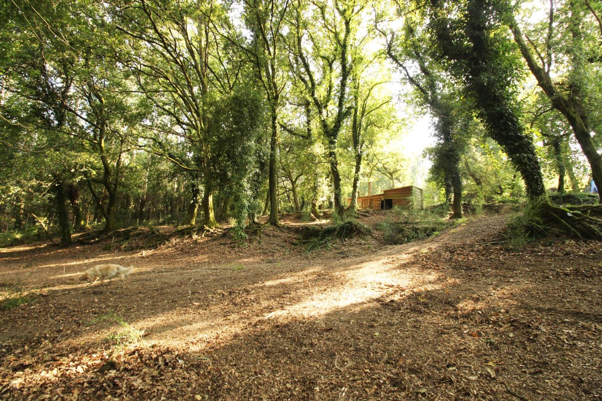 Quinta d'Areda Wine&Pool Experience