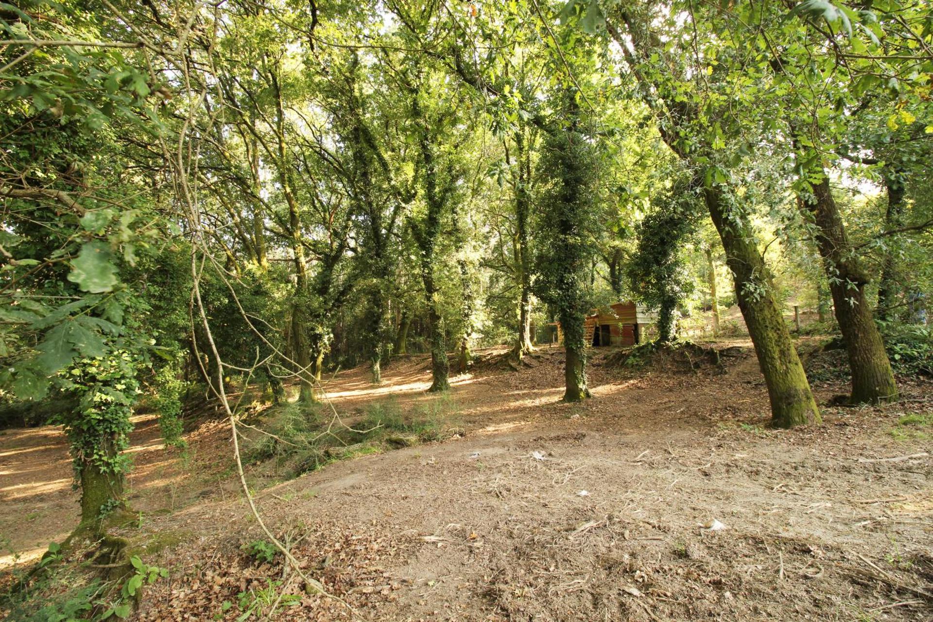 Quinta d'Areda Wine&Pool Experience