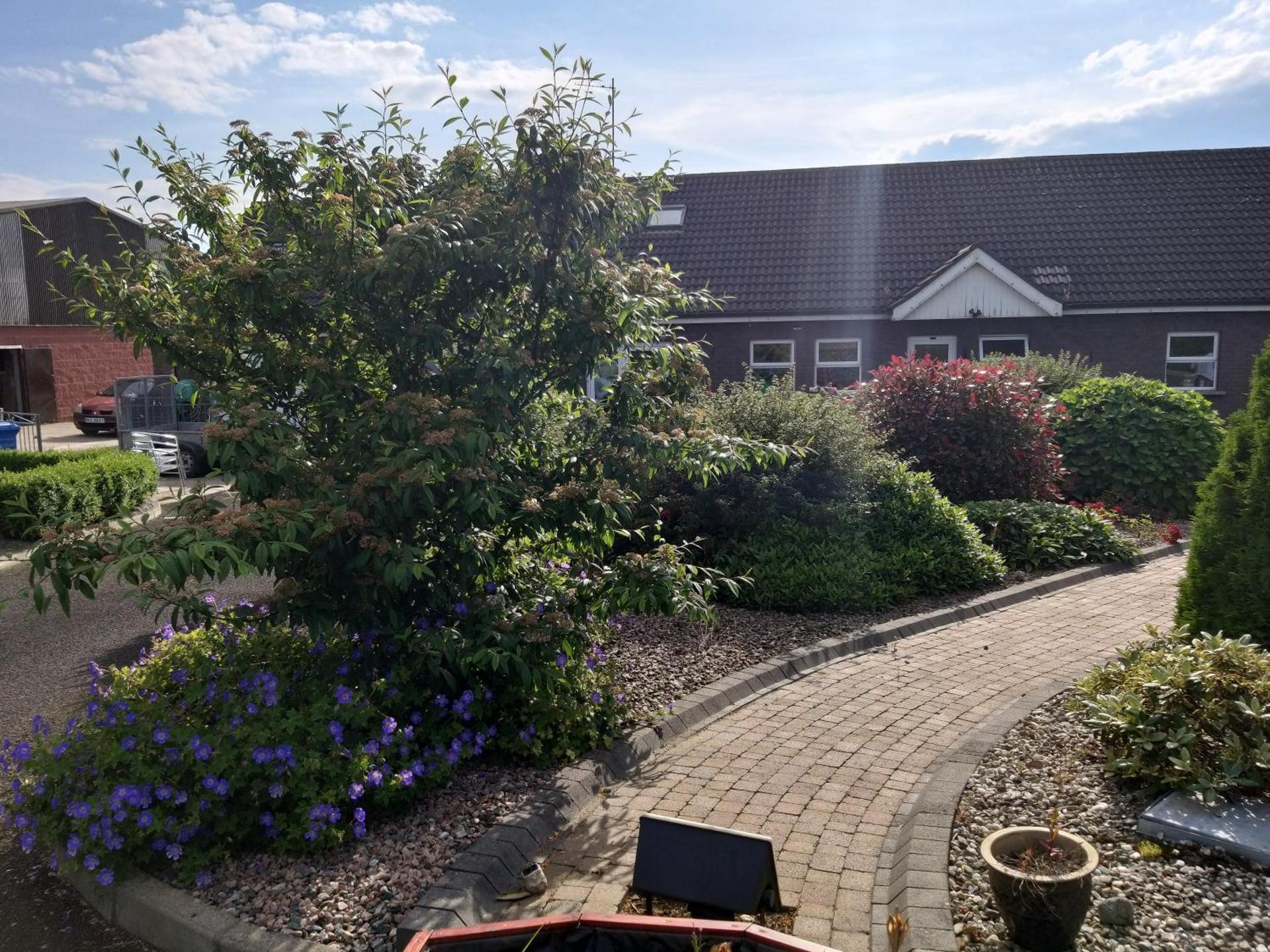 Antrim Heights Estate