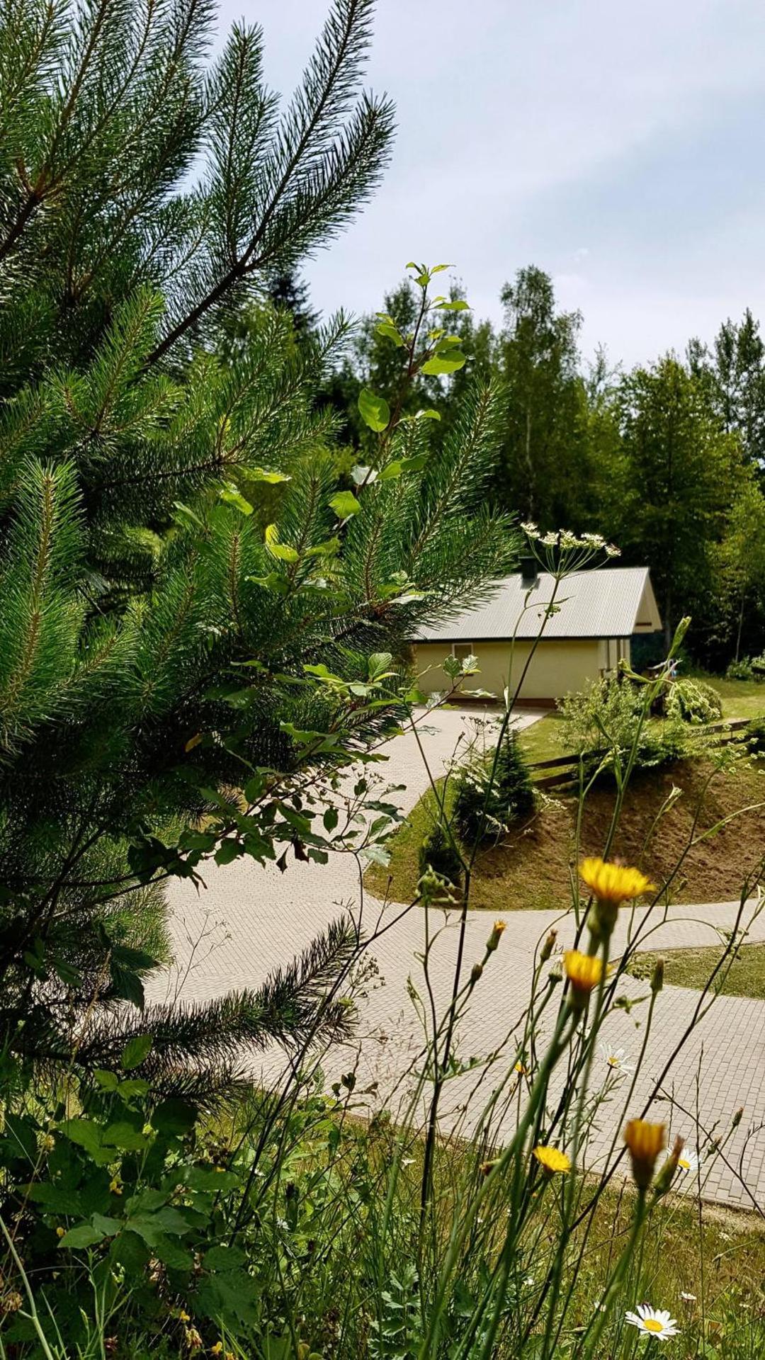 Domki przy lesie 300m od jeziora