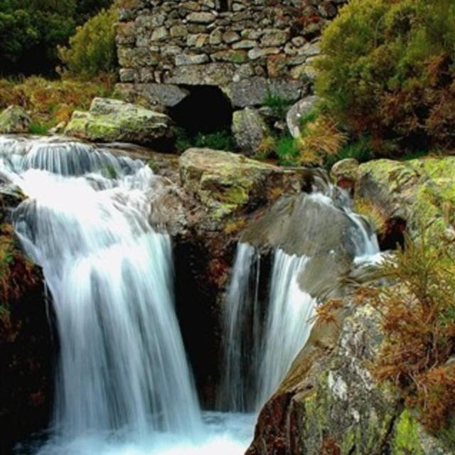 Two-Bedroom Bungalow