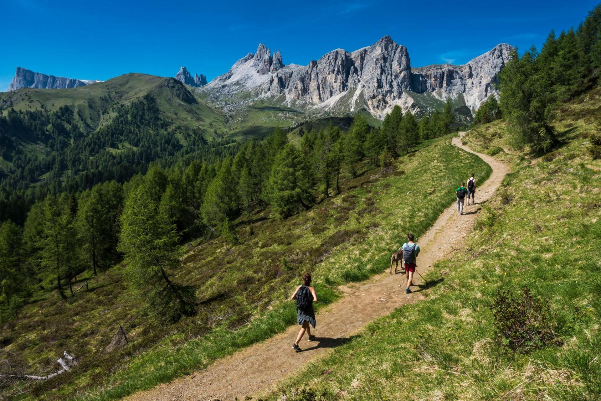 FIORI Dolomites Experience Hotel
