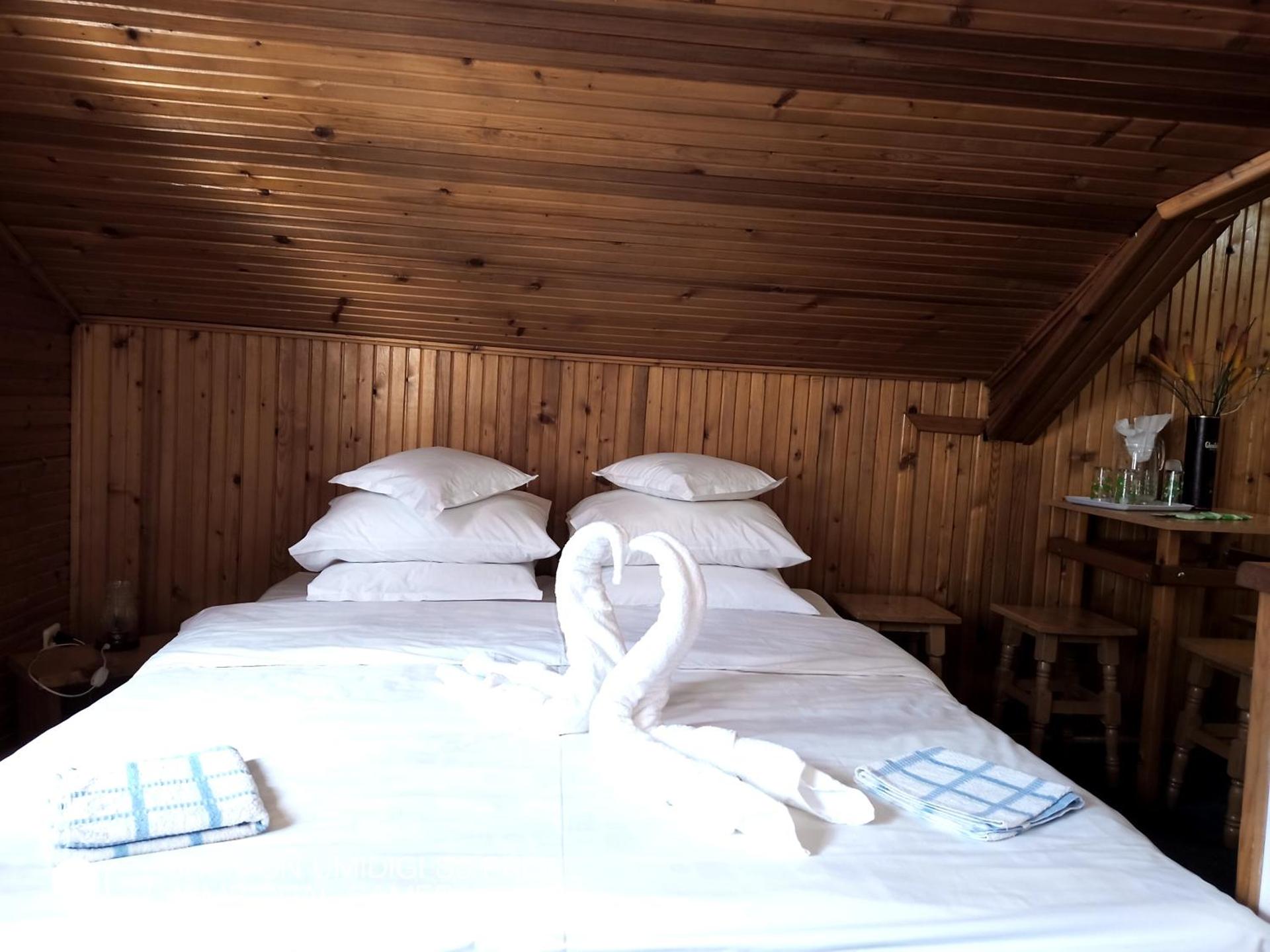 Casa Rodica str. Clabucetului 28