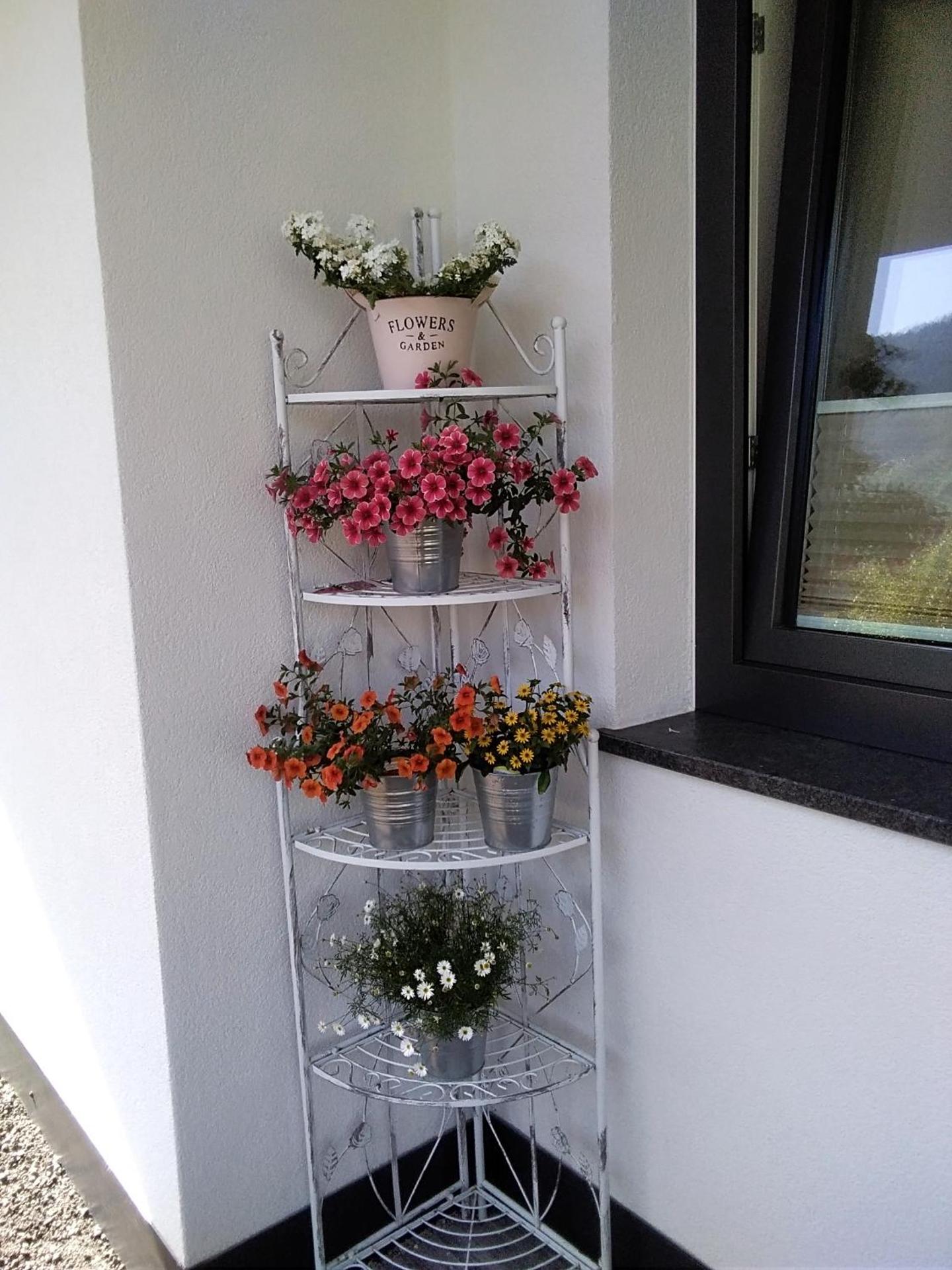 Living Apartment Maurer