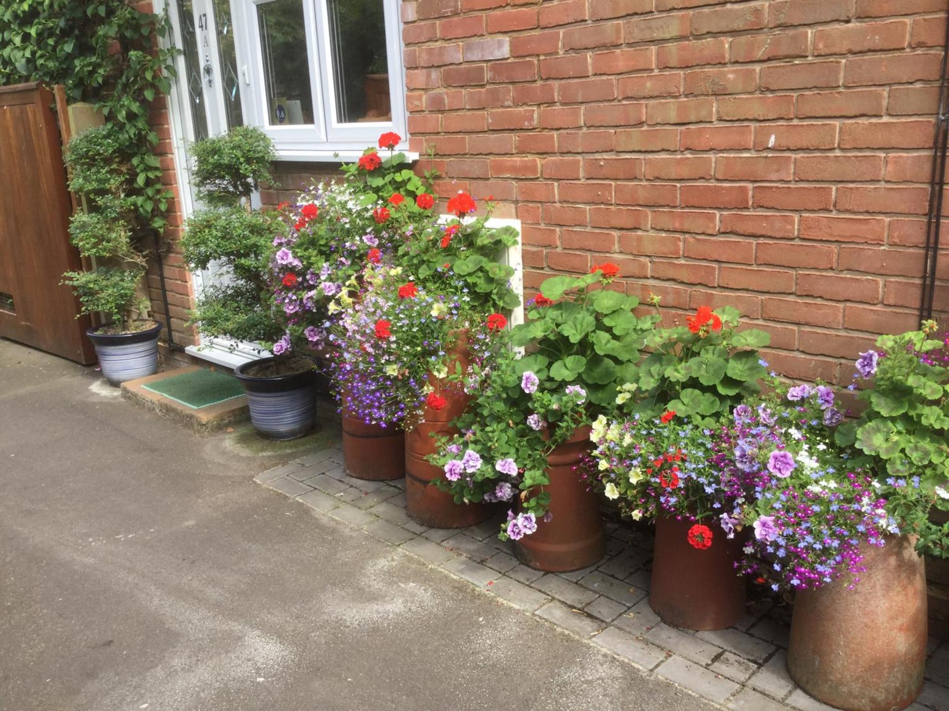 Albertine ,A warm welcome awaits you ,Offering room only or bed and breakfast ,Ideal location for Solent Way ,High Street ,Isle of Wight ,New Forest