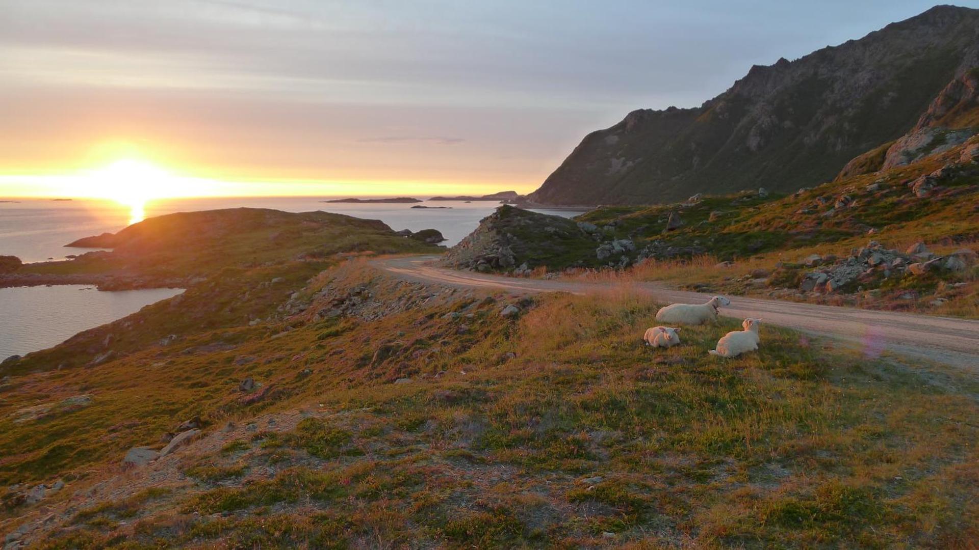 Apartment for holiday in Nyksund