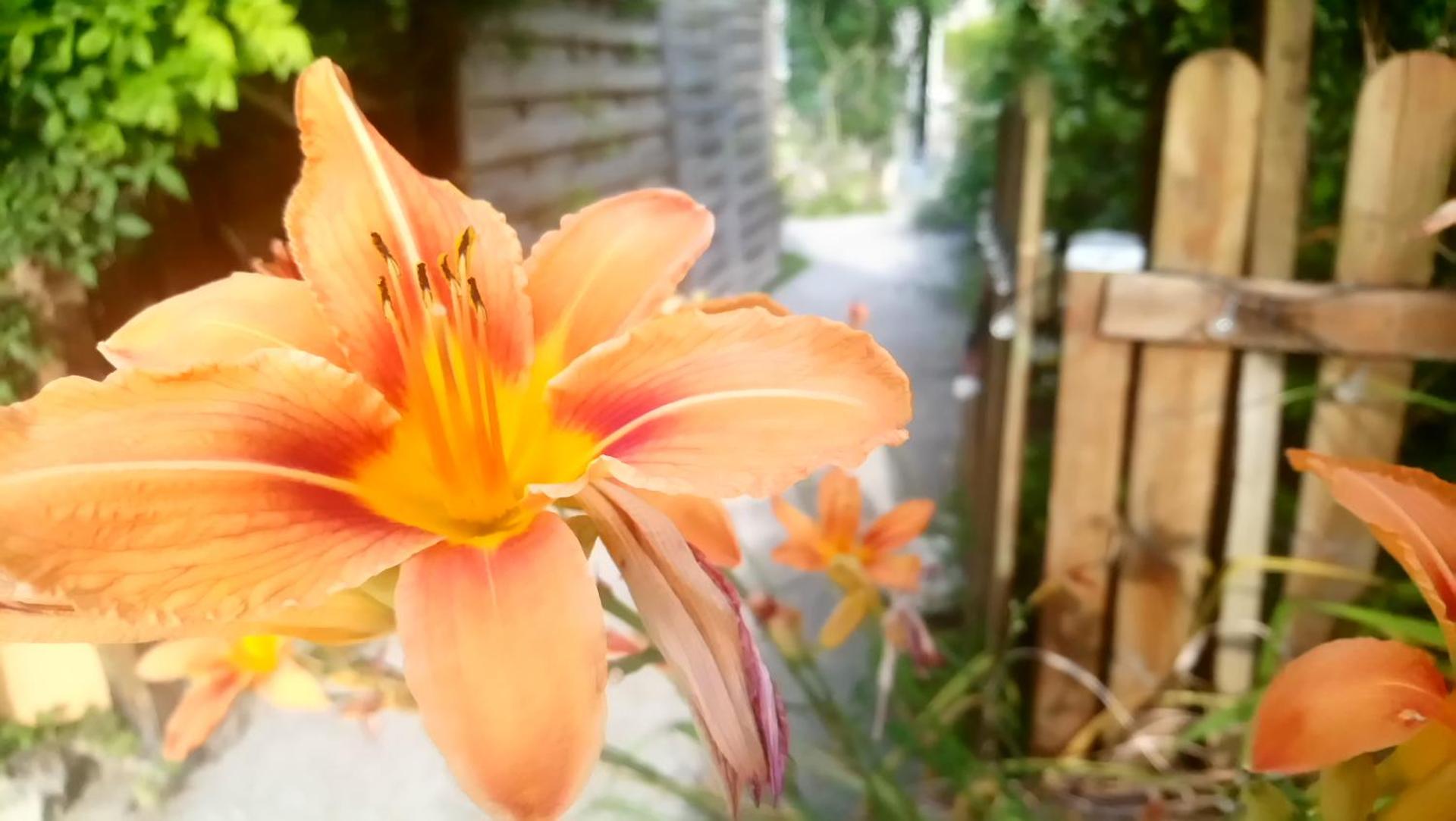 Gîtelabaronnaise avec piscine chauffée prés parc Asterix