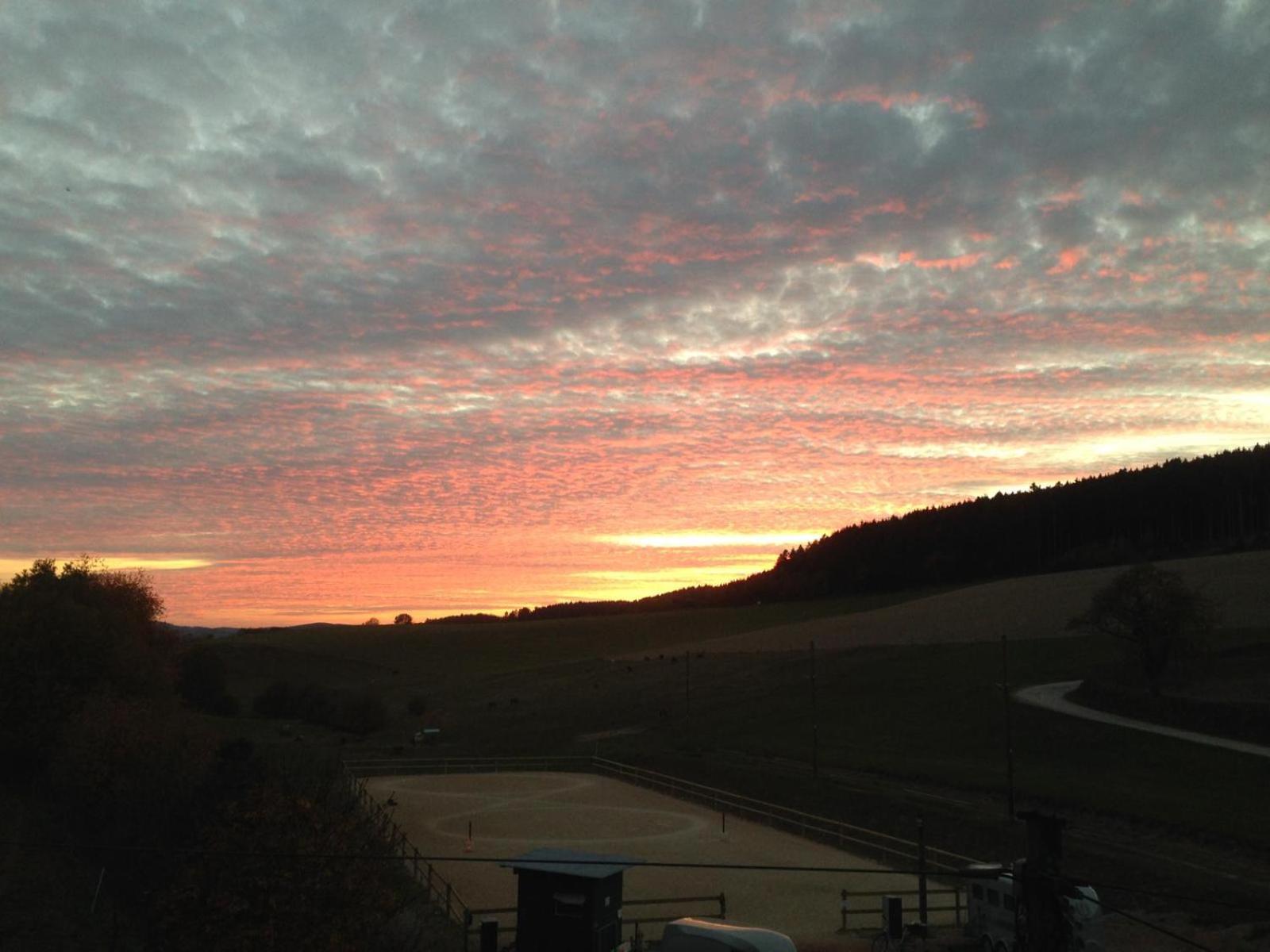 Feriendorf Falkenegg