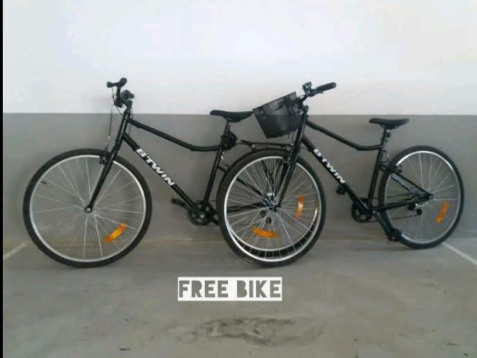 Typical fishing village in historic center I