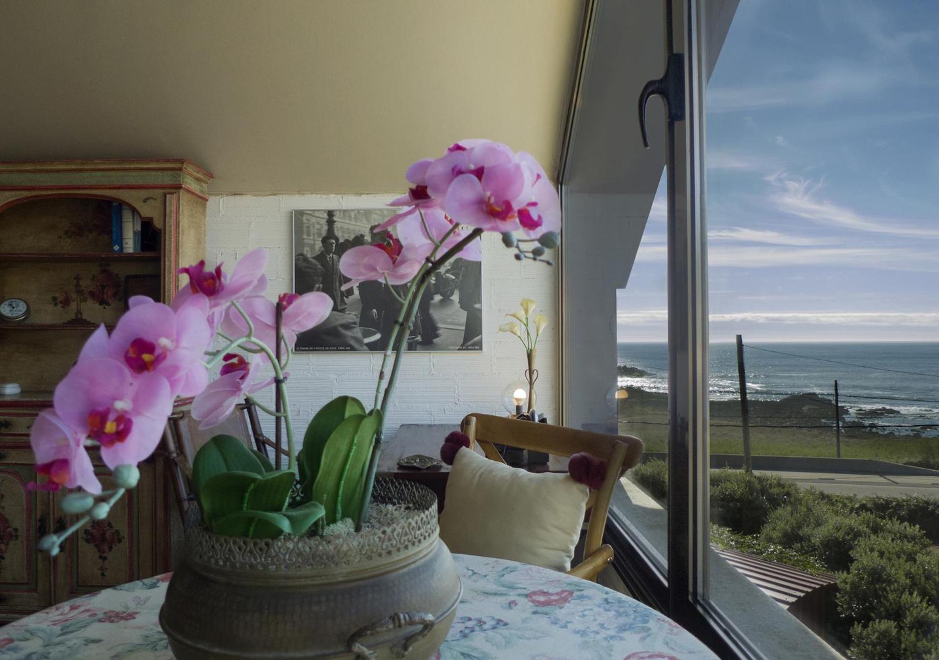 LOFT OIA - ES UNA FILOSOFIA DE VIDa