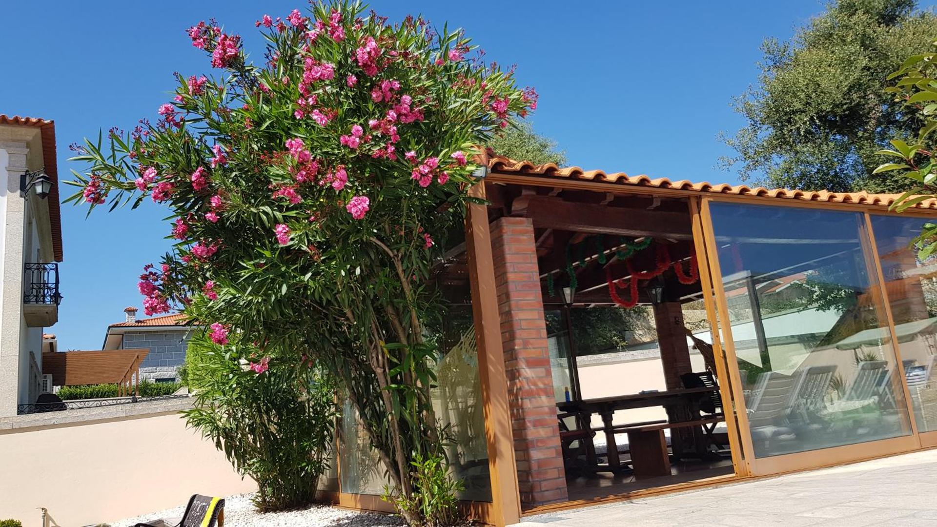 Afonso's House Alpendurada