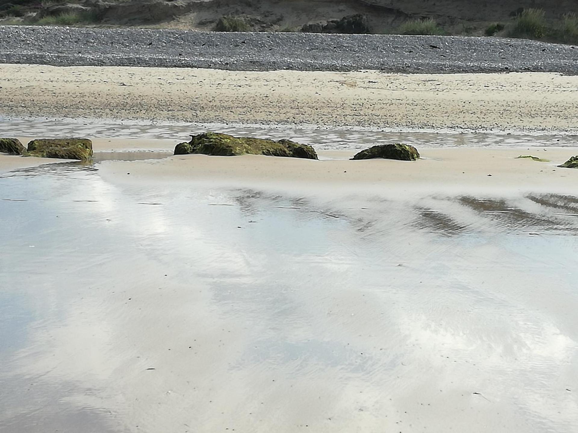 Sunflower Bed & Breakfast