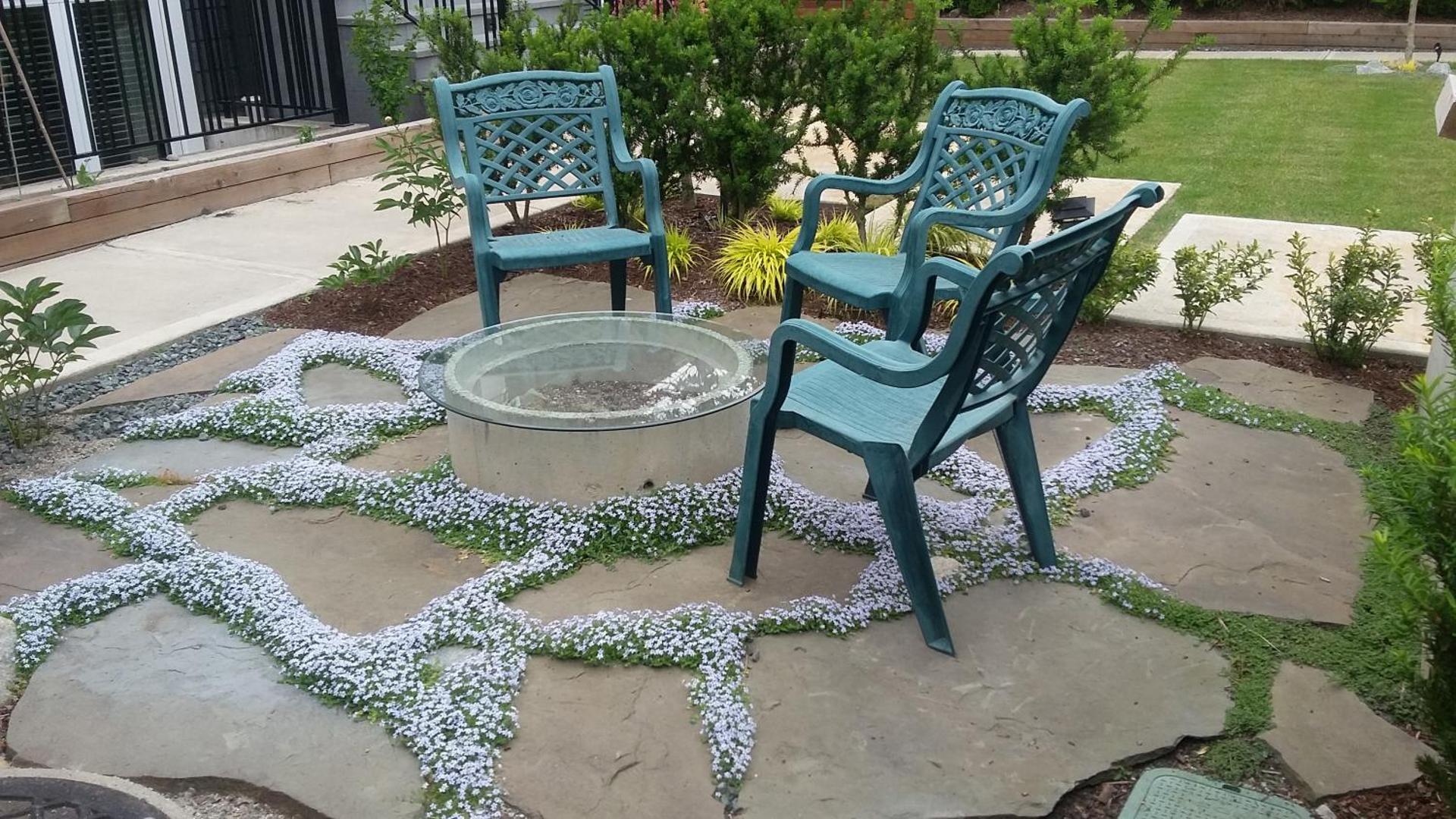 Vancouver Traveller B&B