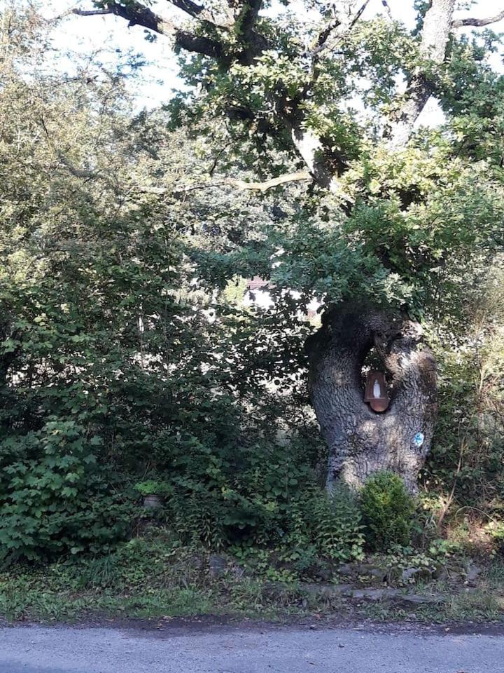 Le chalet de Roanne-Coo