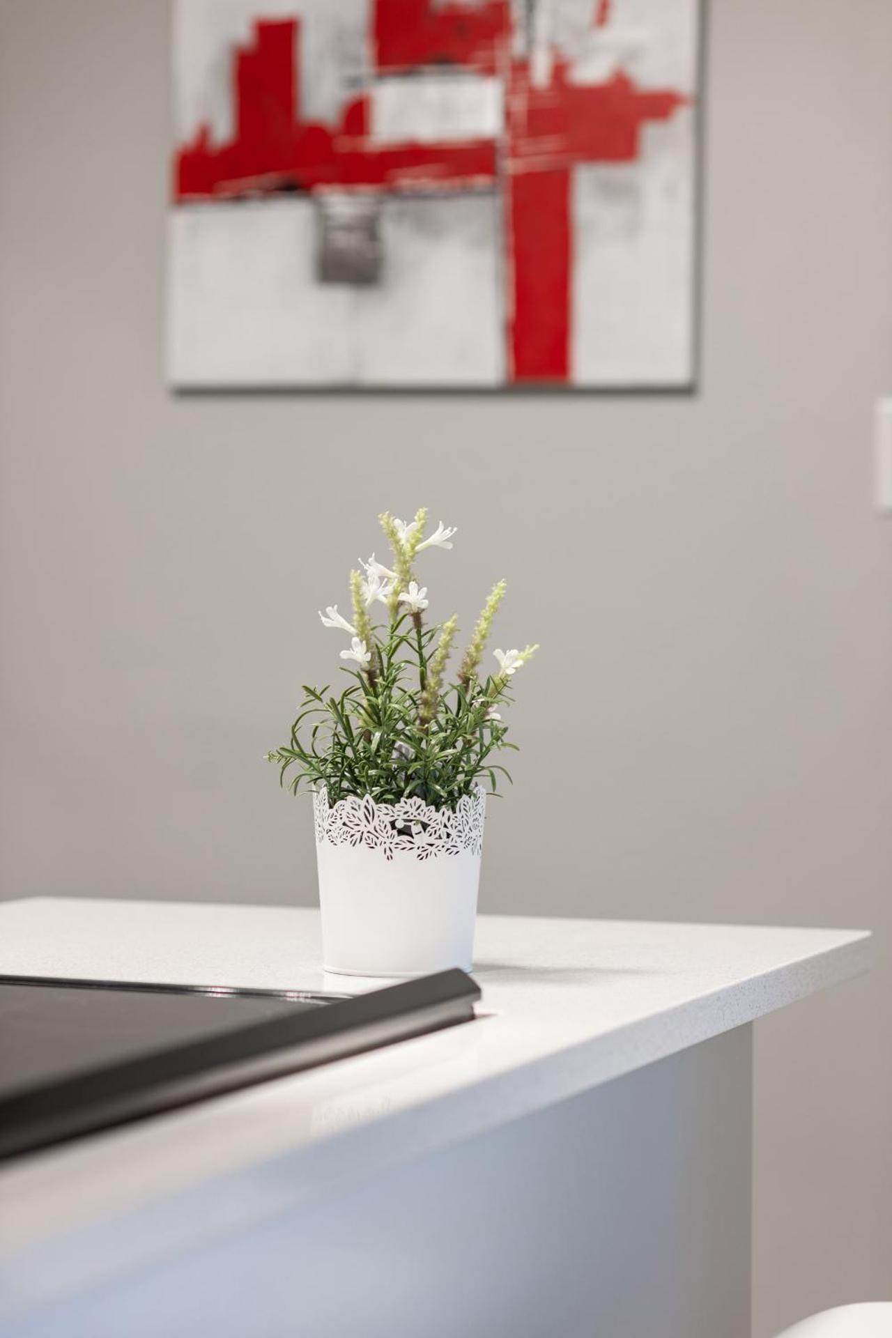 ENTIRE 2 BEDROOM APARTMENT UPTOWN WATERLOO - e1