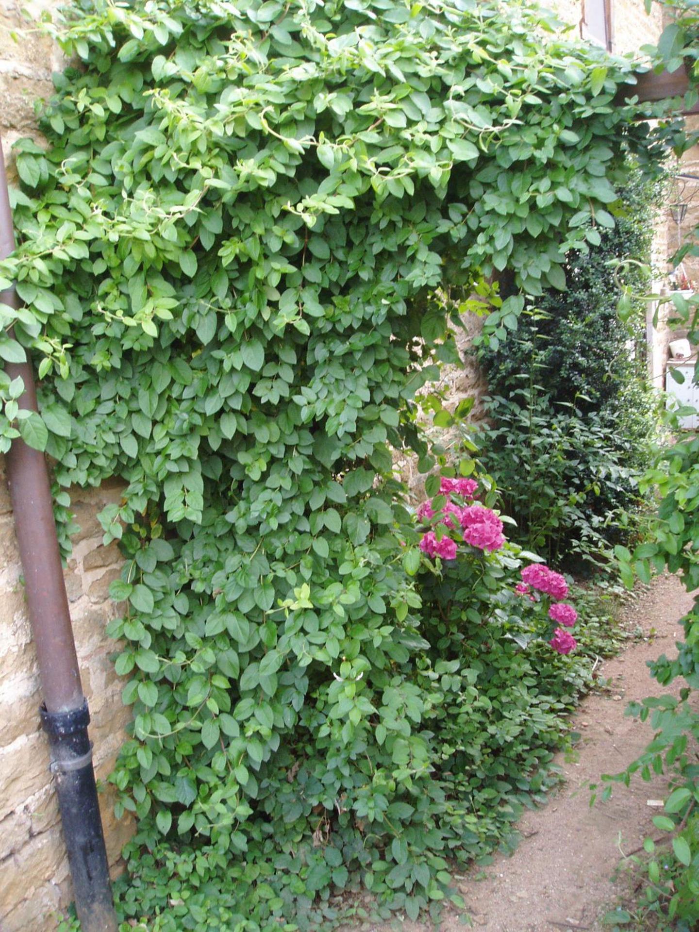 Chambres d'Hôtes Pom' Paille