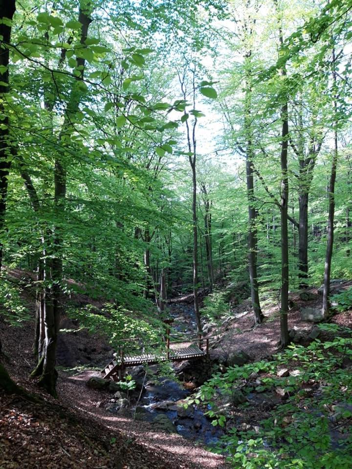 B&B Chambre d'hôtes de la Vecquée