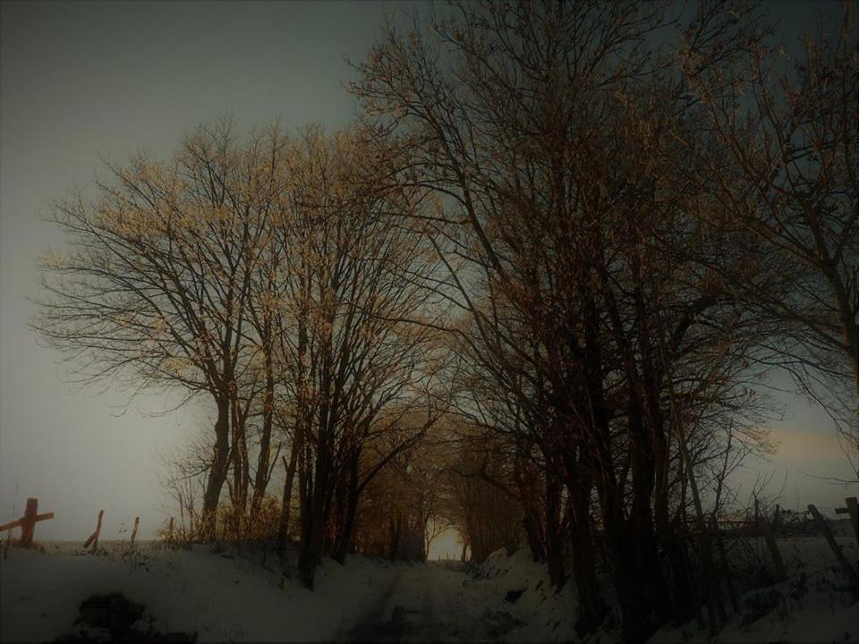 B&B Chambre d'hôtes de la Vecquée