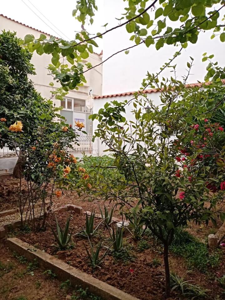 Apartment in Peania (15min from Airport)