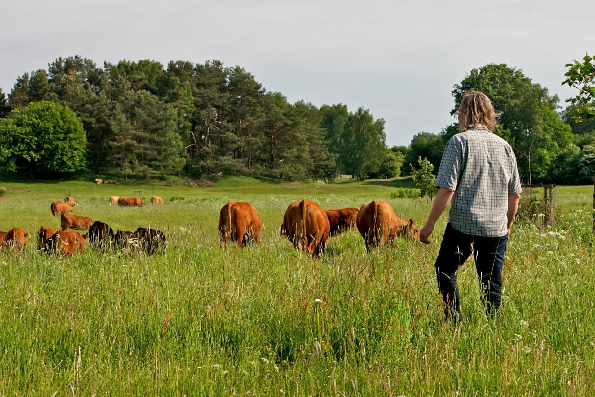 Studio Zempow, ökologisches Ferienhaus