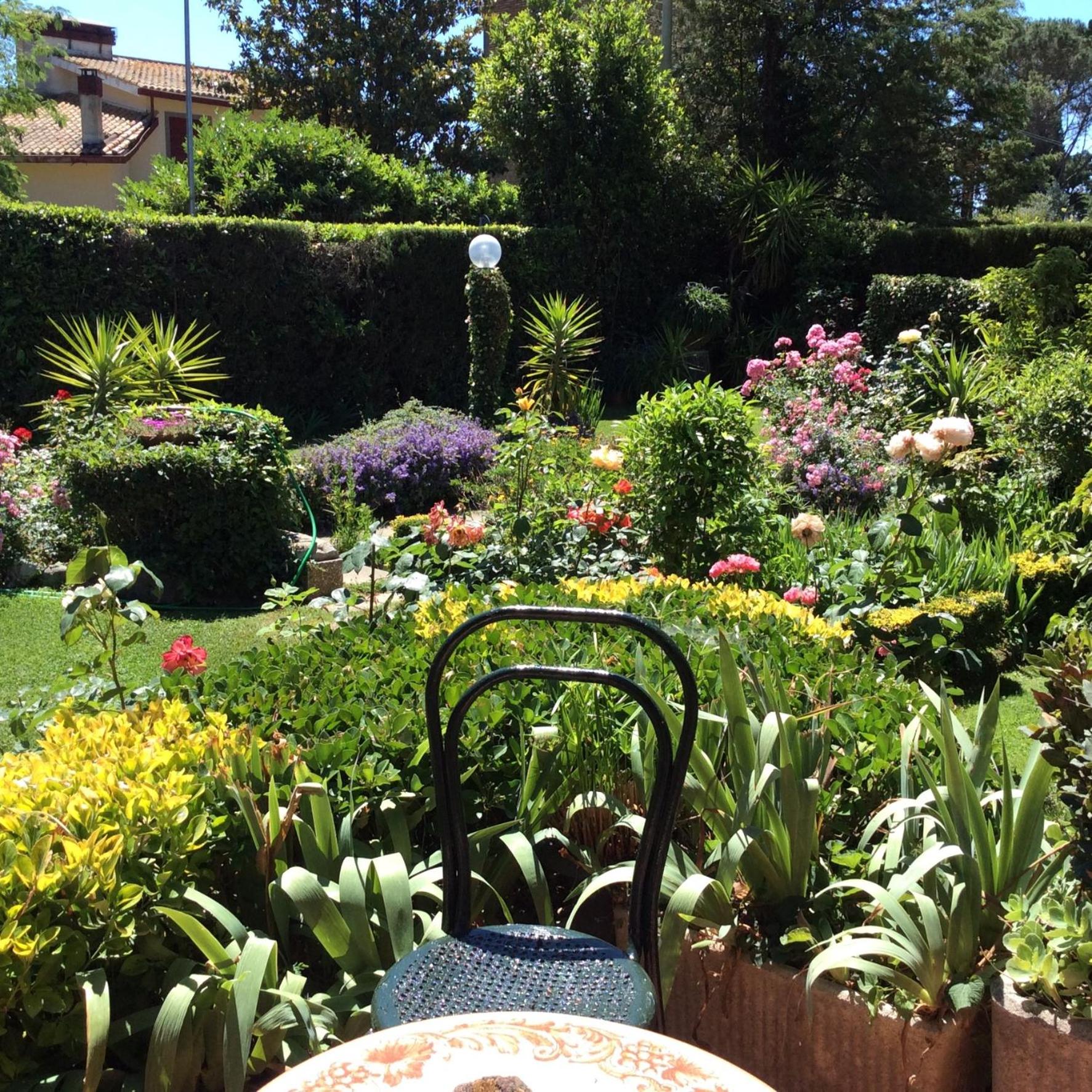 Villa Nanda a 15 minuti da Roma piscina esclusiva , villa nella natura