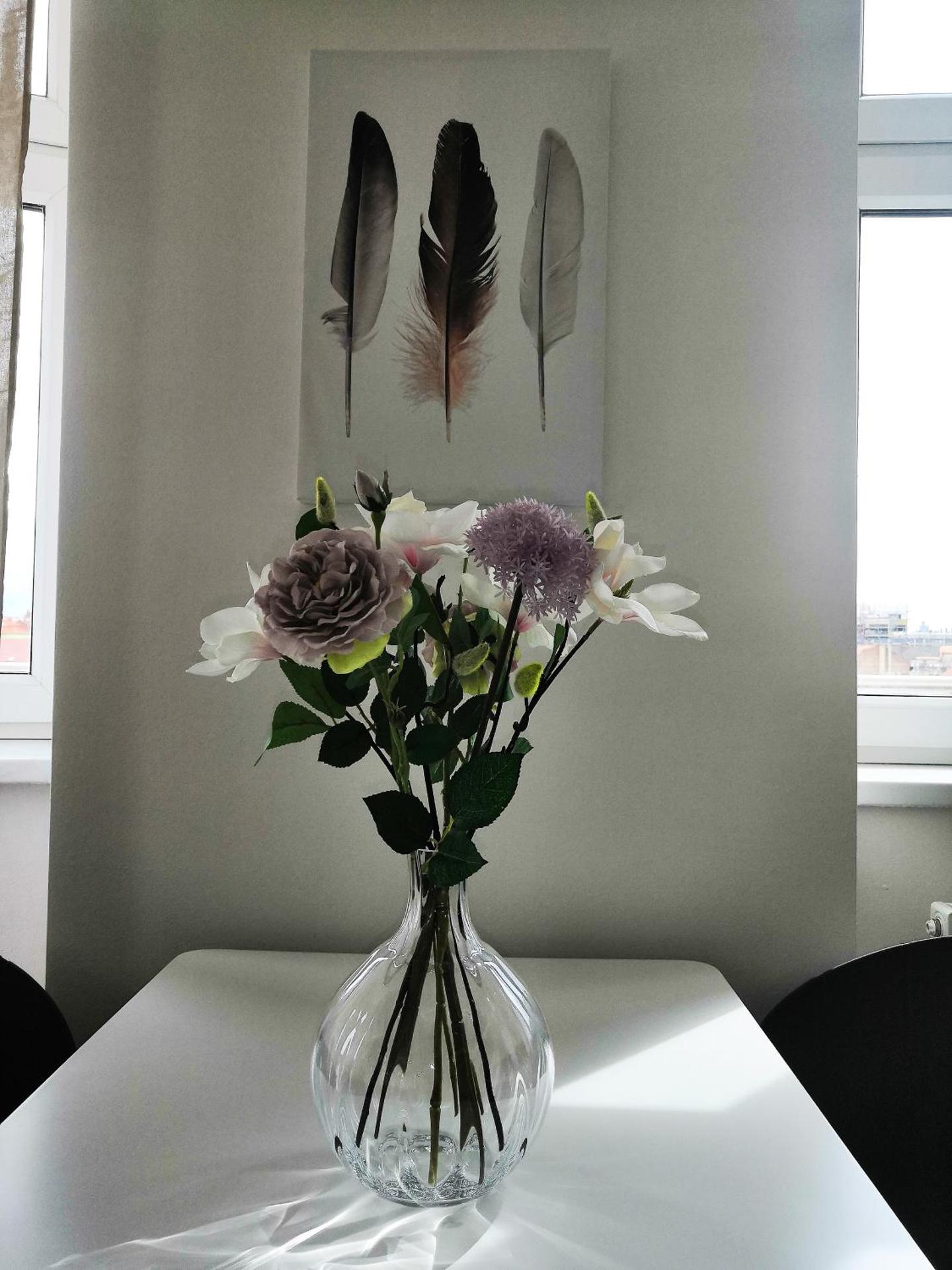 APARTIA Skořepka 15, Brno-center