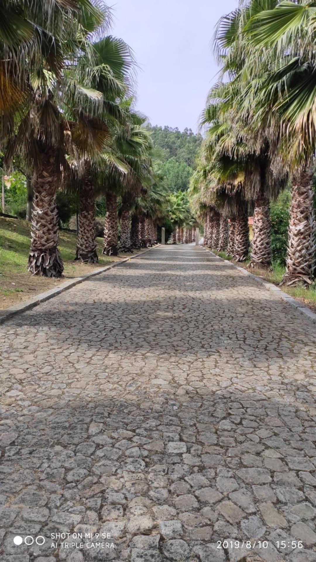 Quinta da Vinha do Souto