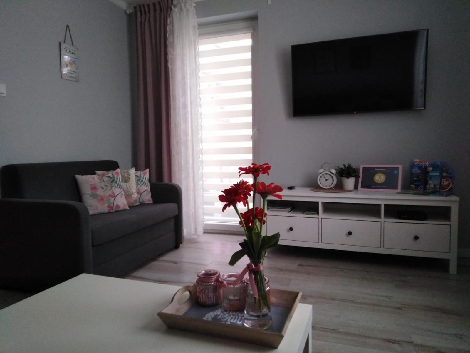 Apartament Antek klimatyzowany