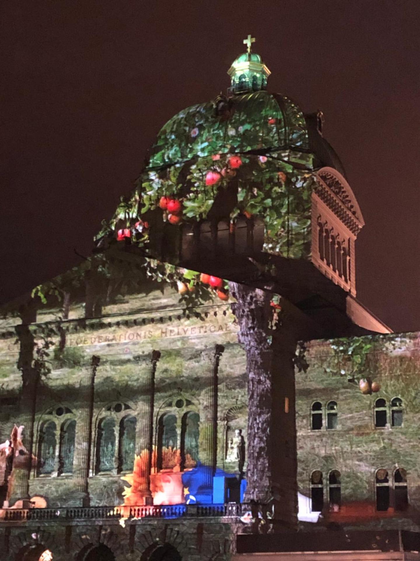 Evening entertainment