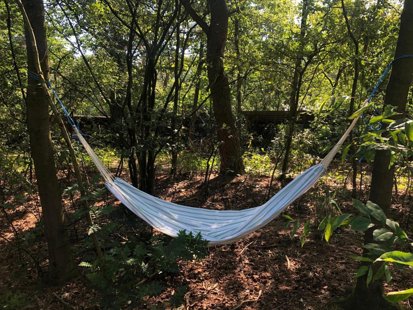 Het Natuurhuisje op de Veluwe