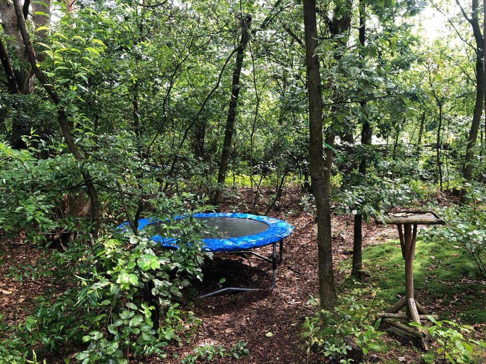 Het Natuurhuisje op de Veluwe