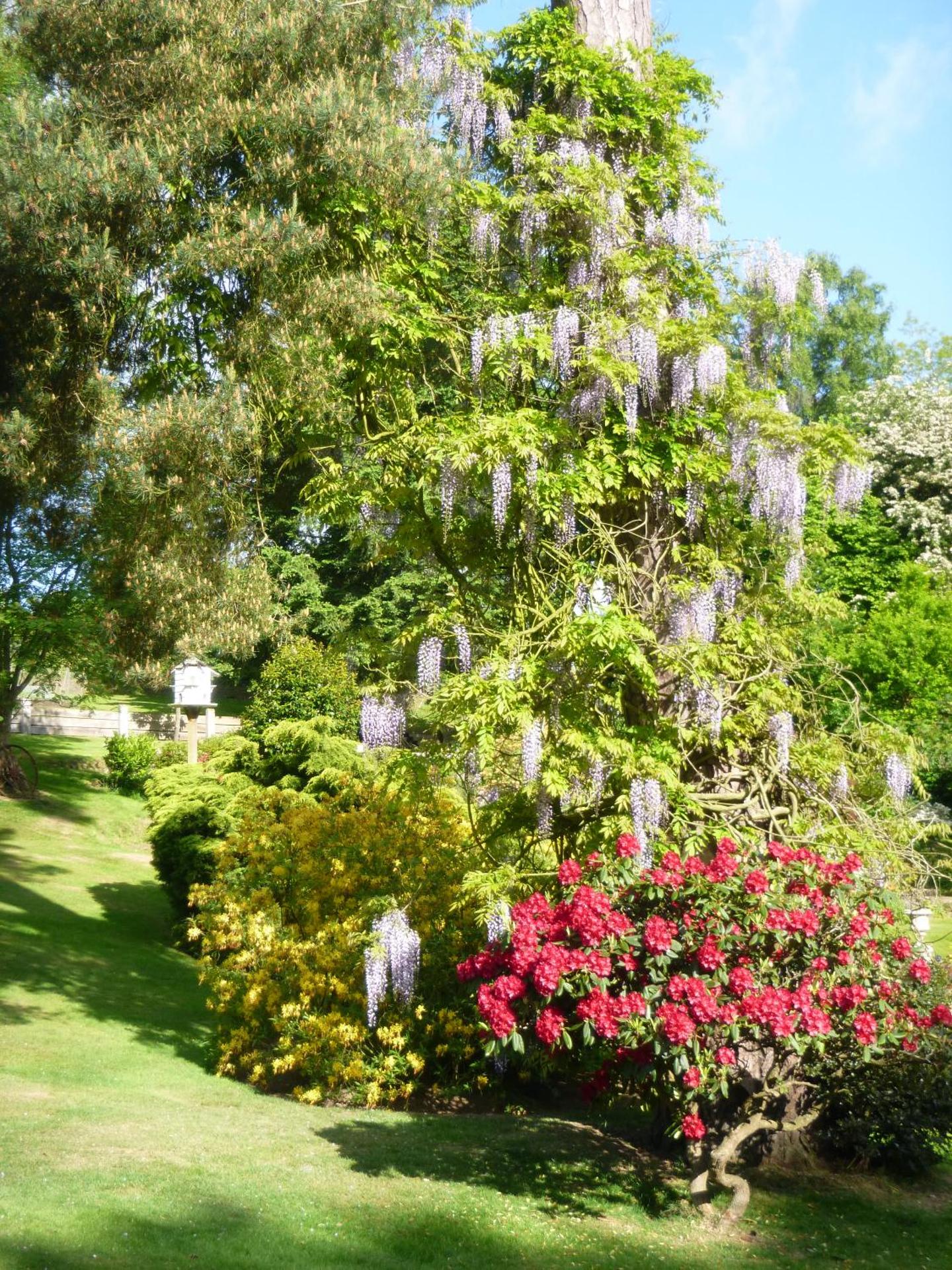 Chart House Bed and Breakfast